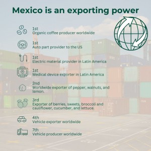 Mx exporting power ING